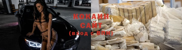 гашик Абаза