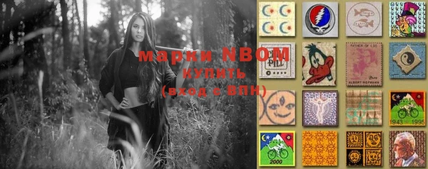 гашик Абаза