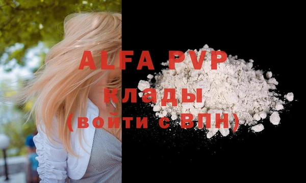 гашик Абаза