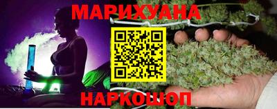 прущие грибы Новозыбков