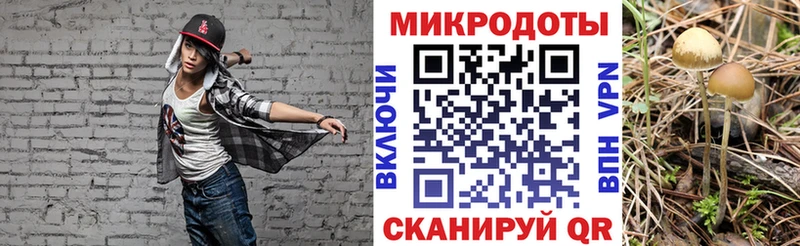 Галлюциногенные грибы Psilocybine cubensis Ялта