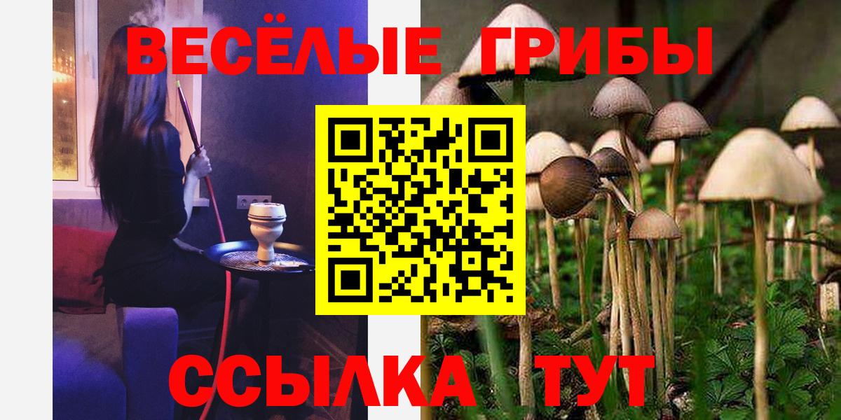 Псилоцибиновые грибы Psilocybe  купить   Вход с VPN  Ялта  Псилоцибиновые грибы мухоморы 